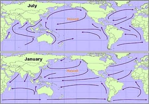 Seasonal Wind - QS Study