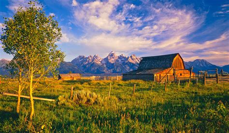 Wyoming National Parks Hotel | National Parks Tours | Hotel Terra