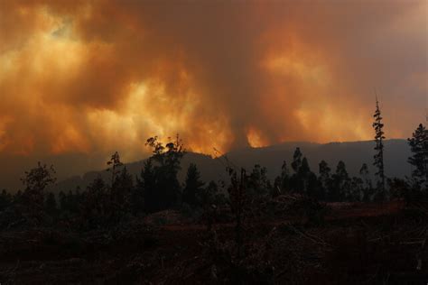 Confirman Fallecidos En Santa Juana Por Incendio Forestal