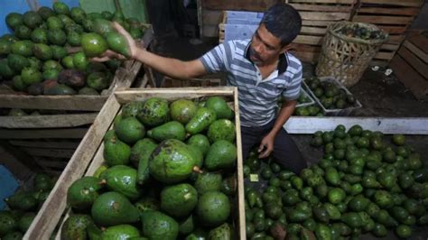 Rekomendasi Makanan Penurun Kolesterol Yang Patut Dicoba GenPI Co KEPRI