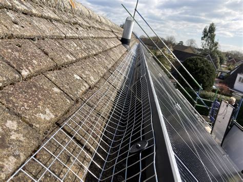 Pest Protection on Solar PV Panels - Tethys Energy