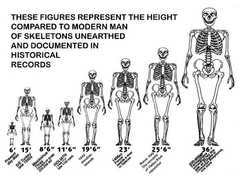 La Marzulli On The Trail Of The Nephilim Book Nephilim Giants