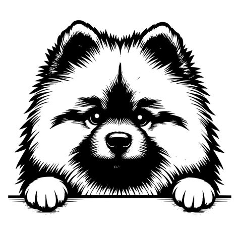 Peeking Keeshond Design Svg Png Dxf For Cricut And More