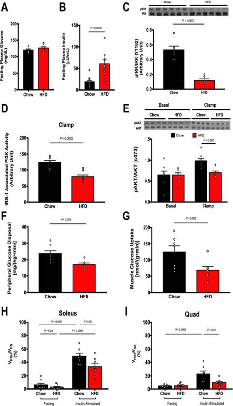 Figure 1 From Dissociation Of Muscle Insulin Resistance From