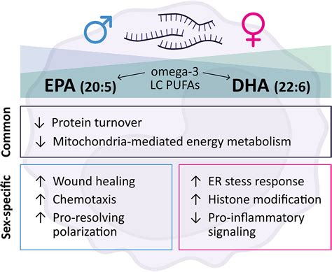 Monocyte Transcriptomic Profile Following Epa And Dha Supplementation