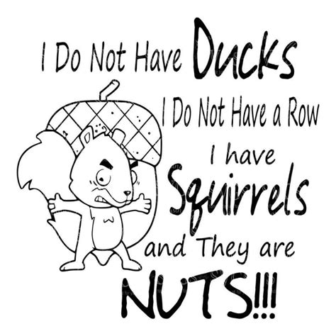 I Do Not Have Ducks Svg Squirrels Svg Ducks In A Row Svg Etsy Funny