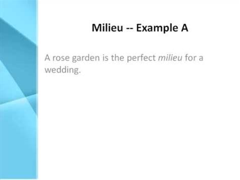 What is the definition of le milieu?