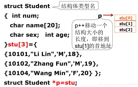 C语言入门之自定义结构体数据struct Student Int Num Char Name 20 Char Sex Int