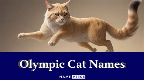 Olympic Cat Names: 292+ Famous Olympian-Inspired Names