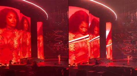 Megan Thee Stallion Breaks Down Mid Performance As Her AI Generated Sex Tape Goes Viral Watch