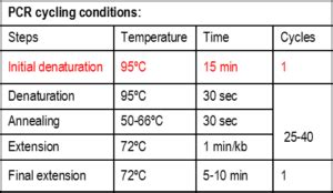 Hot Start Taq X Master Mix Intact Genomcs