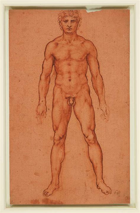 Leonardo Da Vinci Rcin A Standing Male Nude C Picryl