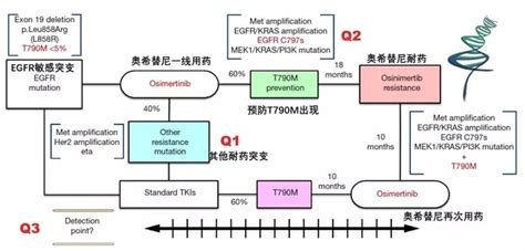 三代靶向藥奧希替尼出現耐藥：我該怎麼辦？—抗癌管家 壹讀