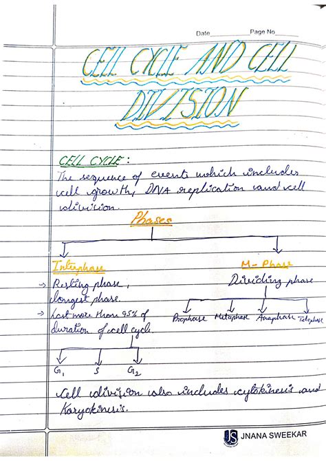 Solution Cell Cycle And Cell Division Class Notes Mindmap Studypool