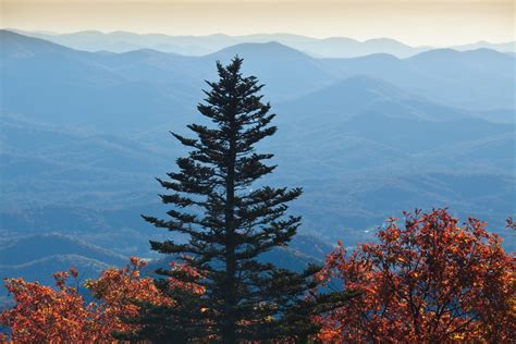 Scenic Drives In The Georgia Mountains Ga Mountains Guide