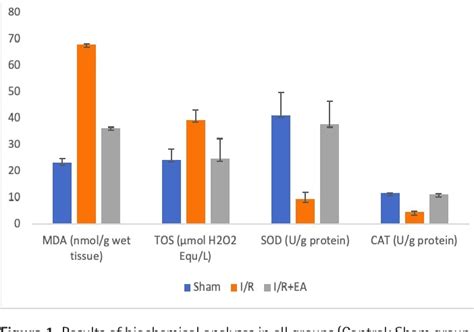 Figure 1 From Protective Effects Of Ellagic Acid On Testicular Ischemia