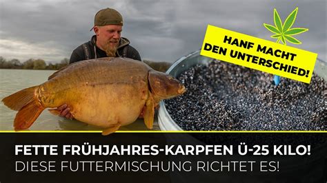 Frühjahrs Futter für fette Karpfen 28 Kilo Spiegler Frühling