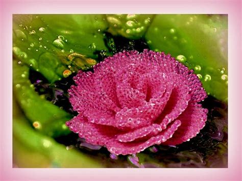 Pattern With Photos For Peyote Beaded Rose How To Bead A Etsy