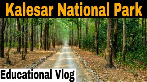 Kalesar National Park Yamunanagar Haryana Educational Vlog Youtube