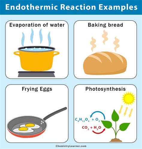 Endothermic Reaction Examples with Chemistry Basics