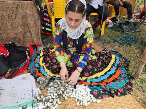 خبرآنلاین ثبت جهانی صنعت پرورش کرم ابریشم ایران در فهرست یونسکو