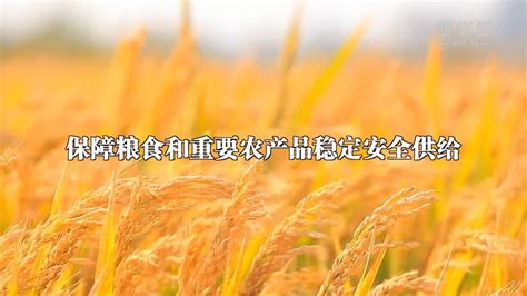 从中央农村工作会议看2023年“三农”工作这么干 中央网络安全和信息化委员会办公室