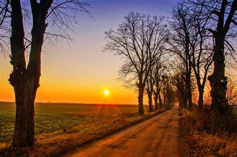 Gratis Afbeeldingen Landschap Boom Natuur Gras Horizon Tak