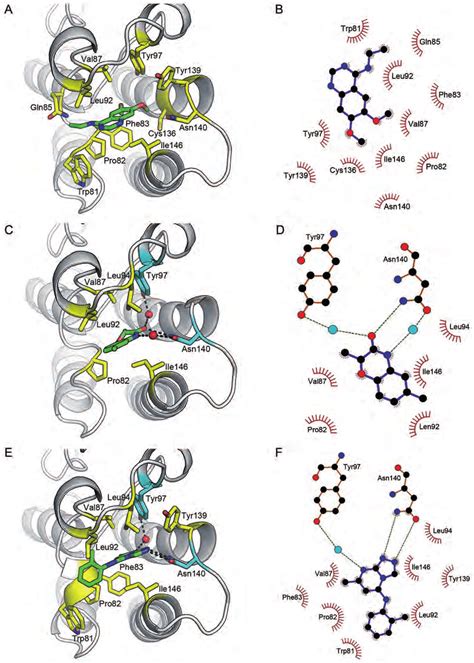 Expanded View Of Brd I Hit Compound Co Crystal Structures And