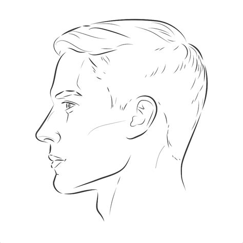 Head Angles Line Sketch Different Angles Psd Icon Vector Photo