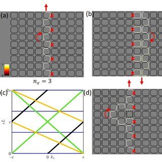 Schematic Of A Afli Microring Lattice With N N Unit Cells The Small