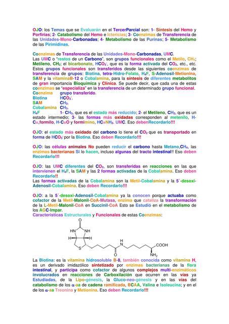 Enzimas De Trans Medilove Udocz