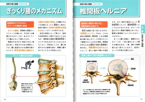 腰痛の原因 コンディショニングジム Step （ステップ）のホームページ