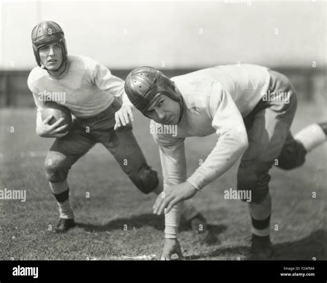 halfback  res stock photography  images alamy