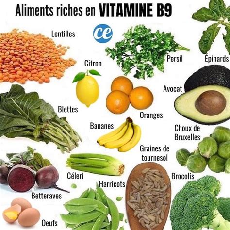 La Vitamine B Appel E Aussi Acide Folique Est Une Substance