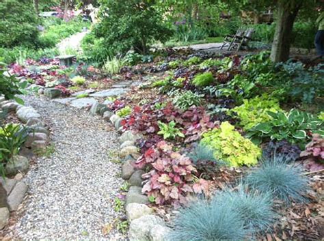 Heuchera Plant Care - Growing Coral Bells for a Shade Garden