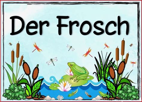 2 Spezialisiert Thema Frösche Im Kindergarten Arbeitsblätter Im Jahr 2