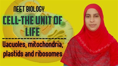 Vacuoles Mitochondria Plastids And Ribosomesneet Biologycell The