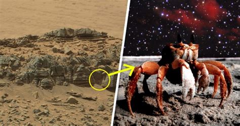 Nasa S New Mars Image Showing A Crab Monster Is Making Earthlings Lose