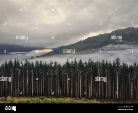 Durante Los Per Odos De Clima Fr O La Niebla Y El Roc O De Las