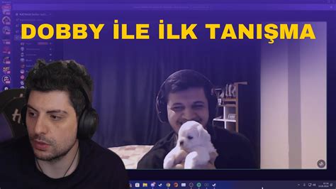 HYPE DOBBY İLE İLK TANIŞMA YouTube