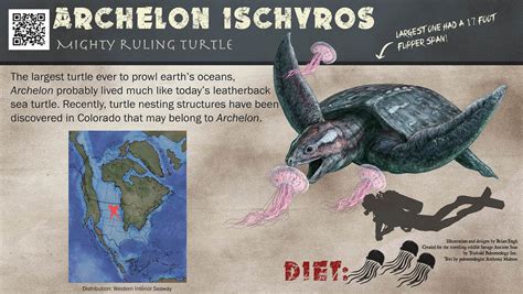 Brian Engh On Twitter Ok So The Giant Turtle Archelon In The Last