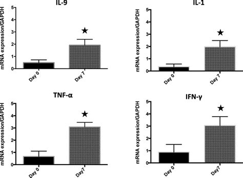 Il 9 Il 1β Tnf α And Inf γ Mrna Expressions In The Interstitial Download Scientific Diagram