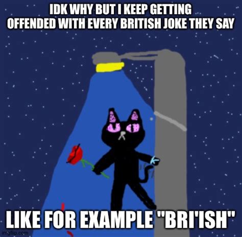 Yes Im British I Feel Insulted Sometimes Imgflip