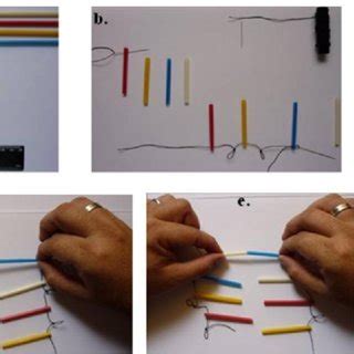 Etapas De La Construcci N Del Modelo De La Mol Cula De ADN A Corte De