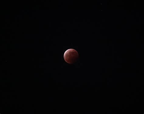 2021 Lunar Eclipse - REMBERT PHOTOGRAPHY