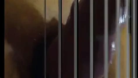 Pow Gay Big Cock Big Cock Porn Feat Cpt Hook XHamster