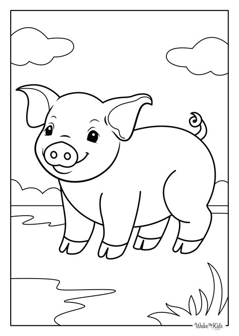 Pig Coloring Pages (Free Printable PDFs) | WakeTheKids