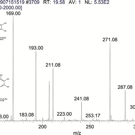 The Mass Spectrum Of Quinic Acid And Its Fragmentation Pattern