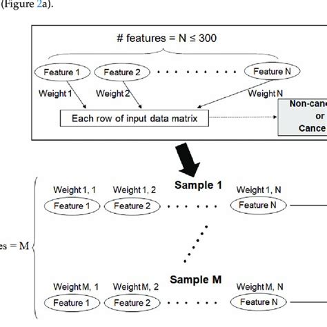 Data Schema Characterized By Directed Acyclic Graph Dag Structure