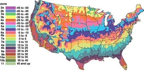 Get Into Your Growing Zone Usda Plant Hardiness Zones Explained